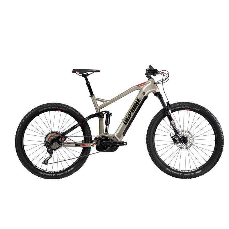 OGPBIKE OGP 211 by LOMBARDO Cycles